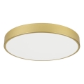 Immax NEO 07293L - LED stmievateľné stropné svietidlo NEO LITE SEMPLICI LED/60W/230V 3000-6000K pr. 60 cm Wi-Fi Tuya zlatá + diaľkové ovládanie