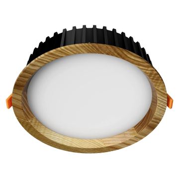 APLED - LED Podhľadové svietidlo RONDO WOODLINE LED/6W/230V 4000K pr. 15 cm jaseň masív