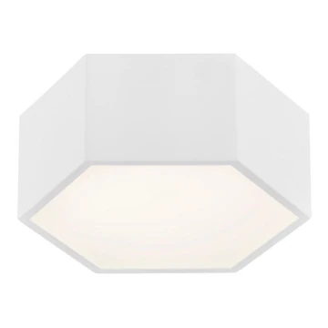 Argon 3828 - LED Stropné svietidlo ARIZONA LED/9W/230V biela