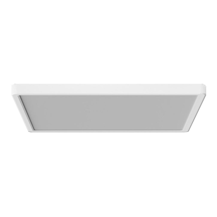 Azzardo AZ5373 - LED Stmievateľné kúpeľňové svietidlo PANKA LED/45W/230V IP40 biela
