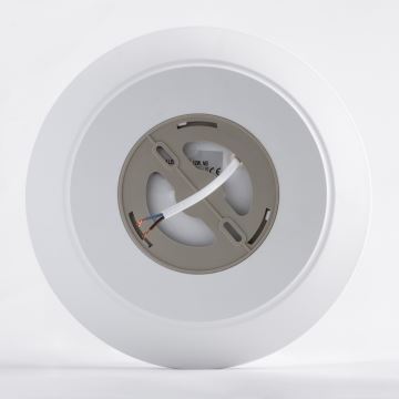 Brilagi - LED Kúpeľňové stropné svietidlo VESTAS LED/12W/230V 4000K IP54