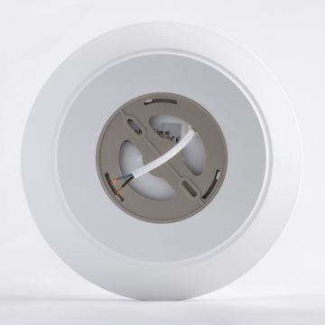 Brilagi - LED Kúpeľňové stropné svietidlo so senzorom VESTAS LED/12W/230V 3000K IP54