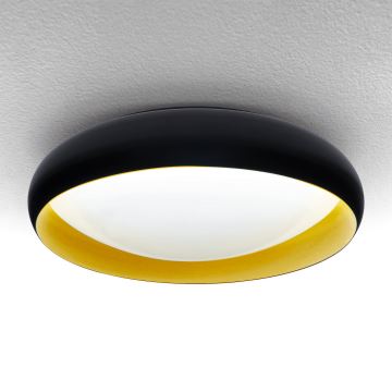 Brilagi - LED Stmievateľné stropné svietidlo LIVIA LED/48W/230V 3000-6500K pr. 42 cm + diaľkové ovládanie