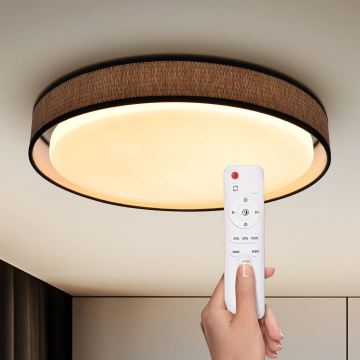 Brilagi - LED Stmievateľné stropné svietidlo PILAR LED/48W/230V 3000-6500K pr. 43 cm + diaľkové ovládanie