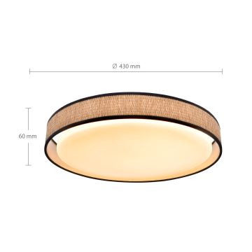 Brilagi - LED Stmievateľné stropné svietidlo PILAR LED/48W/230V 3000-6500K pr. 43 cm + diaľkové ovládanie