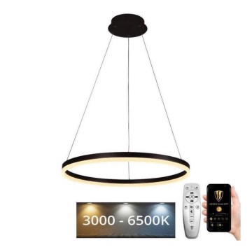 Brilagi - LED Stmievateľný luster na lanku CIRCLE LED/42W/230V 3000-6500K + diaľkové ovládanie