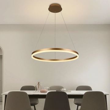 Brilagi - LED Stmievateľný luster na lanku CIRCLE LED/42W/230V 3000-6500K + diaľkové ovládanie