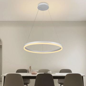 Brilagi - LED Stmievateľný luster na lanku CIRCLE LED/42W/230V 3000-6500K + diaľkové ovládanie