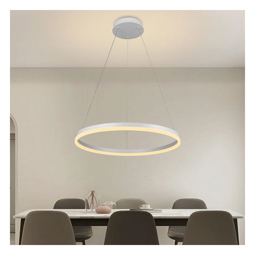 Brilagi - LED Stmievateľný luster na lanku CIRCLE LED/42W/230V 3000-6500K + diaľkové ovládanie