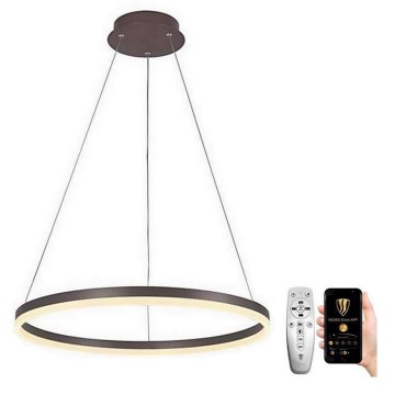 Brilagi - LED Stmievateľný luster na lanku CIRCLE LED/42W/230V 3000-6500K hnedá + diaľkové ovládanie