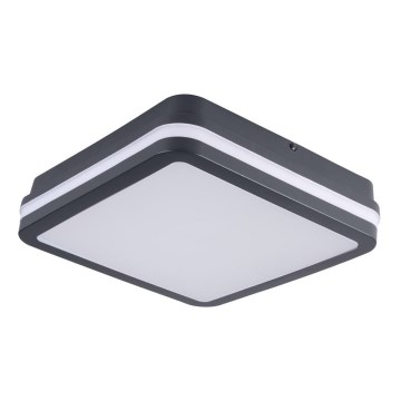 Brilagi - LED Vonkajšie svietidlo BENE LED/18W/230V 22x22 cm antracit IP54