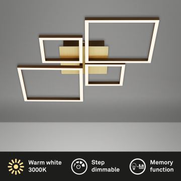 Brilo - LED Stmievateľný prisadený luster FRAME LED/44W/230V