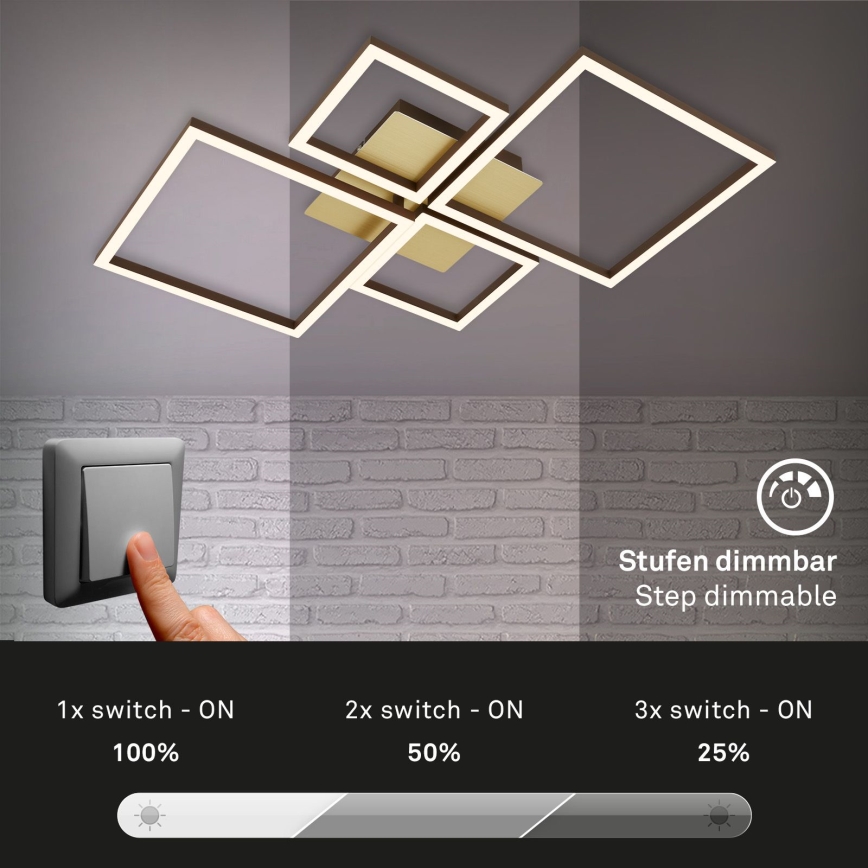 Brilo - LED Stmievateľný prisadený luster FRAME LED/44W/230V