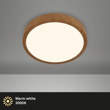 Brilo - LED Stropné svietidlo RUNA LED/12W/230V