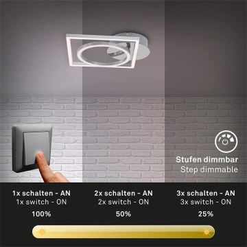 Briloner 3114-018 - LED Stmievateľné stropné svietidlo FRAME LED/19,6W/230V 3000K