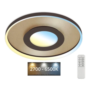 Briloner 3640017 - LED Stmievateľné stropné svietidlo FRAME LED/25W/230V 2700-6500K + diaľkové ovládanie