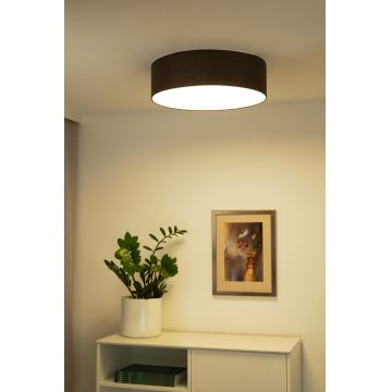 Duolla - LED Stropné svietidlo CORTINA LED/26W/230V pr. 30 cm hnedá