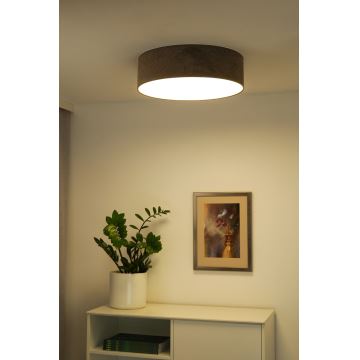 Duolla - LED Stropné svietidlo CORTINA LED/26W/230V pr. 30 cm hnedá