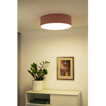 Duolla - LED Stropné svietidlo CORTINA LED/26W/230V pr. 30 cm ružová