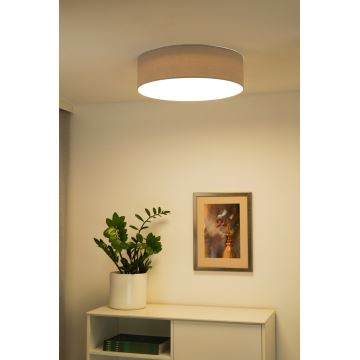 Duolla - LED Stropné svietidlo CORTINA LED/26W/230V pr. 30 cm šedá