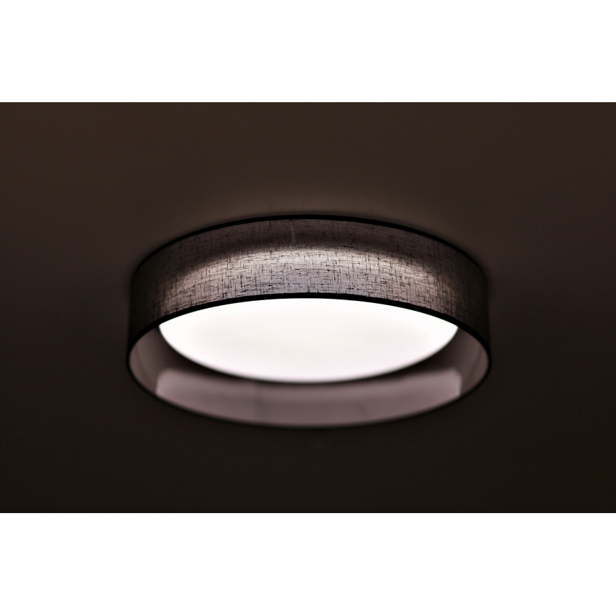 Duolla - LED Stropné svietidlo ROLLER LED/24W/230V antracit