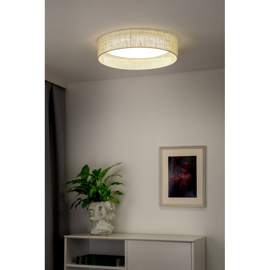 Duolla - LED Stropné svietidlo ROLLER LED/24W/230V béžová