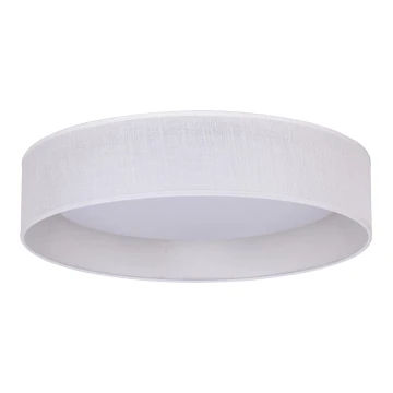 Duolla - LED Stropné svietidlo ROLLER LED/24W/230V biela