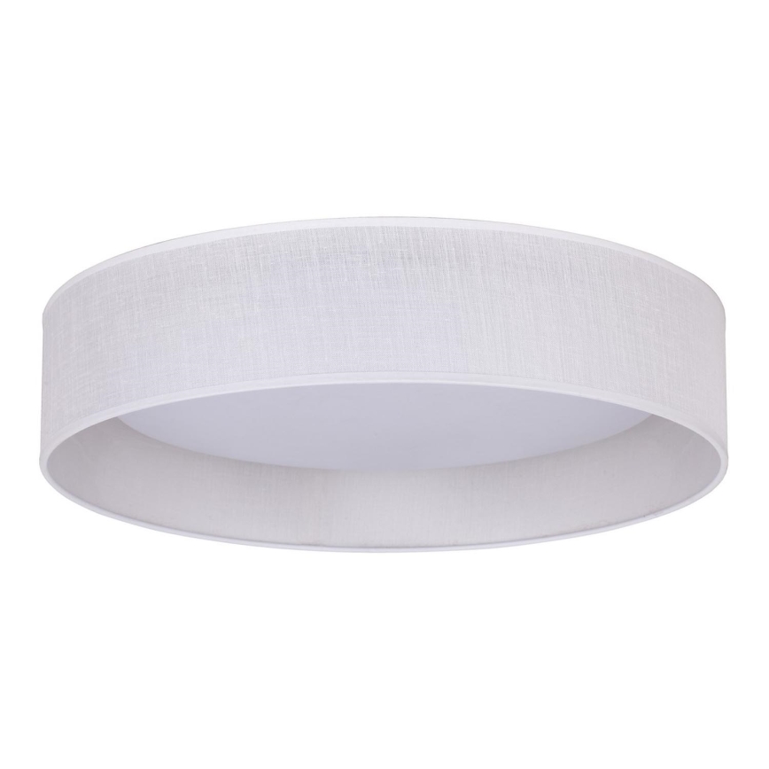 Duolla - LED Stropné svietidlo ROLLER LED/24W/230V biela