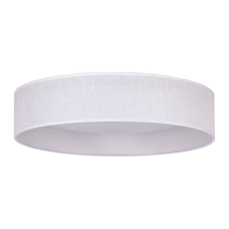 Duolla - LED Stropné svietidlo ROLLER LED/24W/230V biela