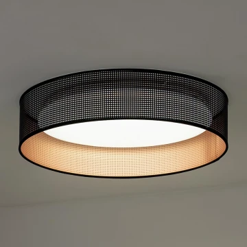 Duolla - LED Stropné svietidlo ROLLER LED/24W/230V čierna/medená