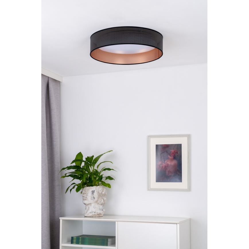 Duolla - LED Stropné svietidlo ROLLER LED/24W/230V čierna/medená