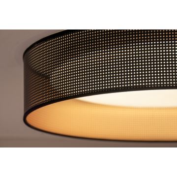 Duolla - LED Stropné svietidlo ROLLER LED/24W/230V čierna/medená