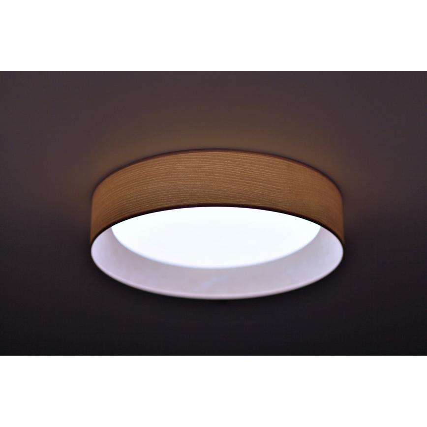 Duolla - LED Stropné svietidlo ROLLER LED/24W/230V jasan