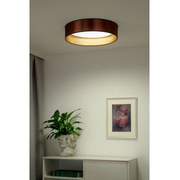 Duolla - LED Stropné svietidlo ROLLER LED/24W/230V medená/zlatá