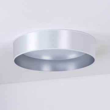 Duolla - LED Stropné svietidlo ROLLER LED/24W/230V strieborná