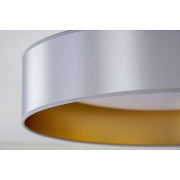 Duolla - LED Stropné svietidlo ROLLER LED/24W/230V strieborná/zlatá