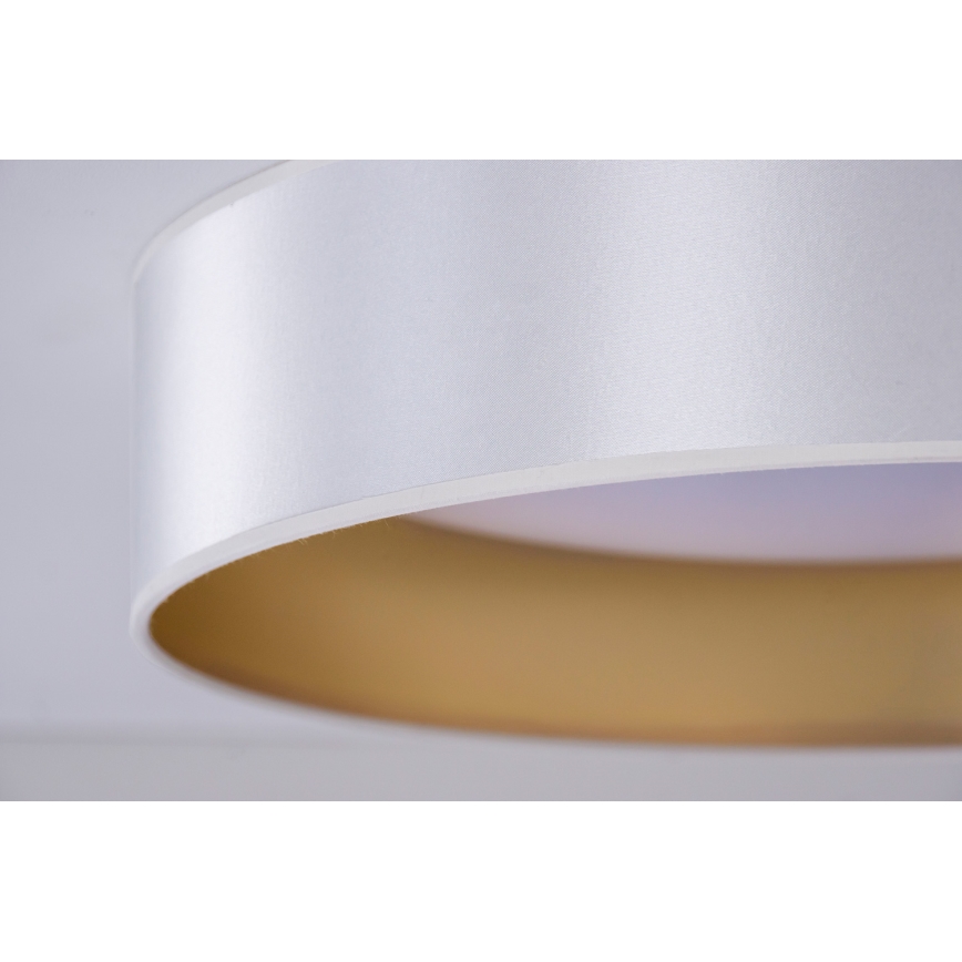 Duolla - LED Stropné svietidlo ROLLER LED/24W/230V strieborná/zlatá