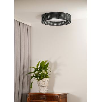 Duolla - LED Stropné svietidlo ROLLER RATTAN LED/24W/230V čierna