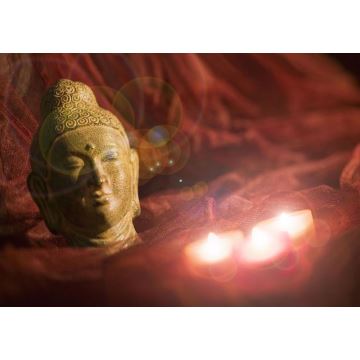 Eglo 75039 - LED Svietiaci dekoračný obraz BUDDHA 3xLED/0,02W/2xAA 30x45 cm