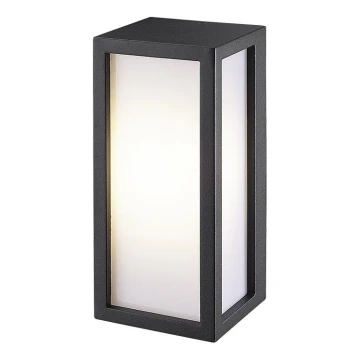 Gardino LX5705-LED - LED Vonkajšie nástenné svietidlo BETULLA LED/18W/230V IP54