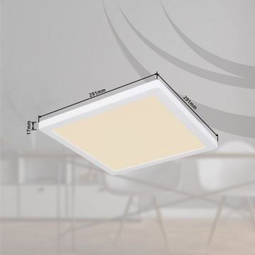 Globo - LED Stropné svietidlo LED/24W/230V 3000/4000/6500K biela