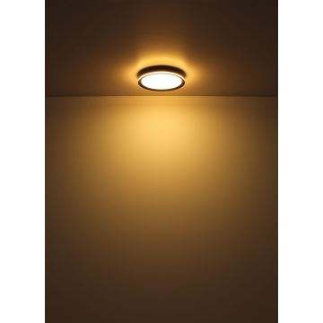 Globo - LED Stropné svietidlo LED/30W/230V pr. 30 cm