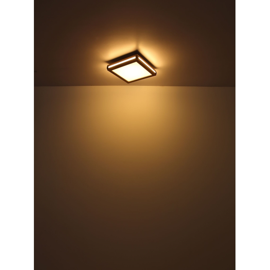 Globo - LED Stropné svietidlo LED/24W/230V 45x45 cm