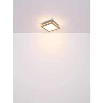 Globo - LED Stropné svietidlo LED/24W/230V 45x45 cm