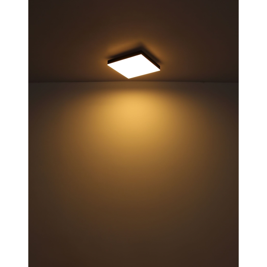 Globo - LED Stropné svietidlo LED/18W/230V 30x30 cm čierna