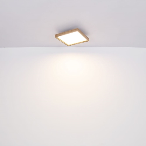 Globo - LED Stropné svietidlo LED/12W/230V 30 cm 2700/4500/6500K