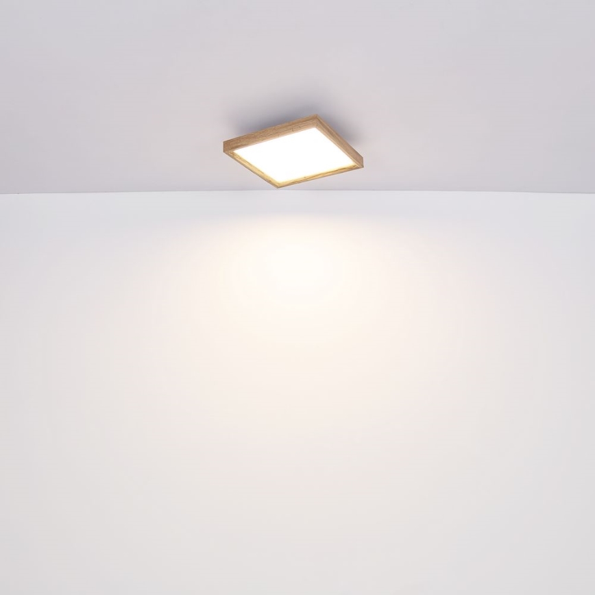 Globo - LED Stropné svietidlo LED/24W/230V 45cm 2700/4500/6500K