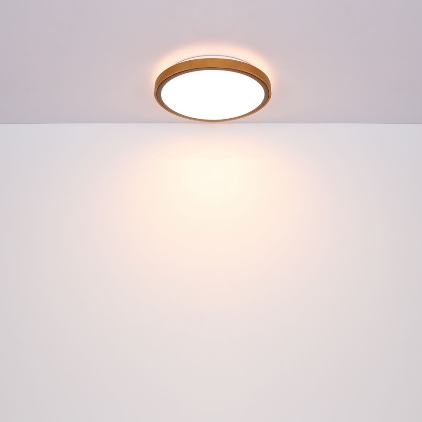 Globo - LED Stropné svietidlo LED/12W/230V 307 mm 3000/4500/6000K