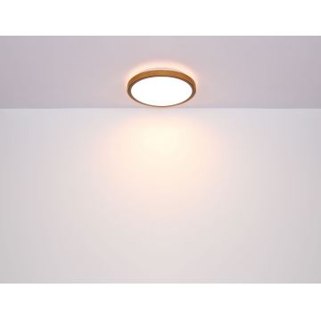 Globo - LED Stropné svietidlo LED/12W/230V 3000/4500/6000K pr. 30 cm