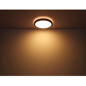 Globo - LED Stropné svietidlo LED/12W/230V 3000/4500/6000K pr. 30 cm